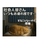 ⚫猫ミームで会話⭐40匹セット[社畜・無職編（個別スタンプ：39）