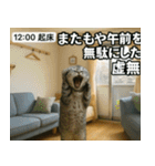 ⚫猫ミームで会話⭐40匹セット[社畜・無職編（個別スタンプ：40）