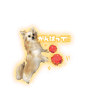 ポメチワのうゆ⑤（個別スタンプ：10）