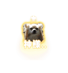ポメチワのうゆ⑤（個別スタンプ：12）