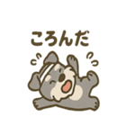 がんばれシュナの運動会日記（個別スタンプ：1）