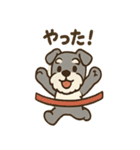 がんばれシュナの運動会日記（個別スタンプ：3）