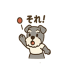 がんばれシュナの運動会日記（個別スタンプ：5）