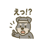 がんばれシュナの運動会日記（個別スタンプ：11）