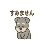 がんばれシュナの運動会日記（個別スタンプ：13）