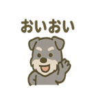 がんばれシュナの運動会日記（個別スタンプ：14）