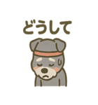 がんばれシュナの運動会日記（個別スタンプ：16）