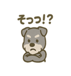 がんばれシュナの運動会日記（個別スタンプ：17）