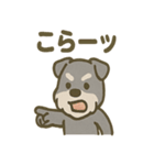 がんばれシュナの運動会日記（個別スタンプ：18）