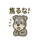 がんばれシュナの運動会日記（個別スタンプ：21）