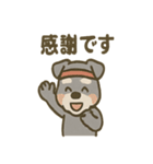がんばれシュナの運動会日記（個別スタンプ：27）