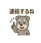 がんばれシュナの運動会日記（個別スタンプ：30）
