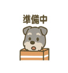 がんばれシュナの運動会日記（個別スタンプ：31）