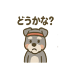がんばれシュナの運動会日記（個別スタンプ：38）