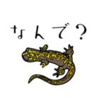 爬虫類＆両生類DY（個別スタンプ：10）