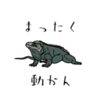 爬虫類あるあるDY（個別スタンプ：1）