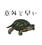 爬虫類あるあるDY（個別スタンプ：4）