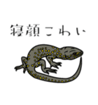 爬虫類あるあるDY（個別スタンプ：6）