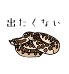 爬虫類あるあるDY（個別スタンプ：16）