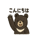 くまくまツキノワぐま（個別スタンプ：1）
