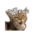 いくらとそら（個別スタンプ：1）
