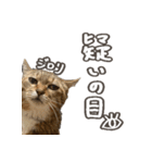 いくらとそら（個別スタンプ：7）