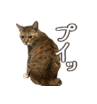 いくらとそら（個別スタンプ：9）