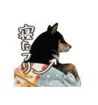 いくらとそら（個別スタンプ：10）
