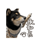 いくらとそら（個別スタンプ：14）