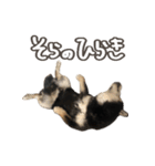 いくらとそら（個別スタンプ：22）