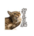 いくらとそら（個別スタンプ：23）