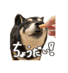 いくらとそら（個別スタンプ：28）