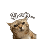 いくらとそら（個別スタンプ：30）