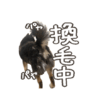 いくらとそら（個別スタンプ：31）