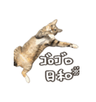 いくらとそら（個別スタンプ：32）
