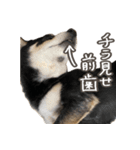いくらとそら（個別スタンプ：35）