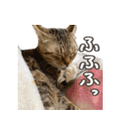 いくらとそら（個別スタンプ：36）