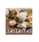いくらとそら（個別スタンプ：38）