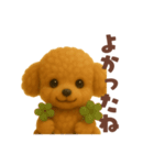 トイプードルの日常スタンプ！羊毛シリーズ（個別スタンプ：35）