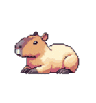 シュールでかわいいカピバラのスタンプ（個別スタンプ：6）