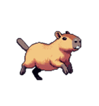 シュールでかわいいカピバラのスタンプ（個別スタンプ：11）