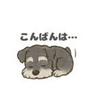 ミニチュアシュナウザーほっこりスタンプ2（個別スタンプ：2）