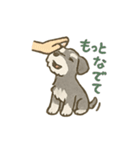ミニチュアシュナウザーほっこりスタンプ2（個別スタンプ：5）