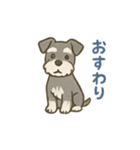 ミニチュアシュナウザーほっこりスタンプ2（個別スタンプ：7）