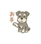 ミニチュアシュナウザーほっこりスタンプ2（個別スタンプ：8）