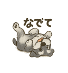 ミニチュアシュナウザーほっこりスタンプ2（個別スタンプ：19）
