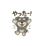 ミニチュアシュナウザーほっこりスタンプ2（個別スタンプ：21）