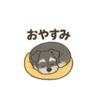 ミニチュアシュナウザーほっこりスタンプ2（個別スタンプ：22）