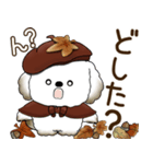 犬さん 2025 「ベレー帽さん」秋（個別スタンプ：1）