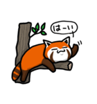 ハイ！レッサーパンダ（個別スタンプ：3）